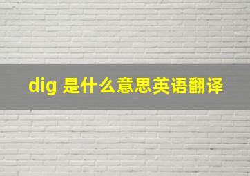 dig 是什么意思英语翻译